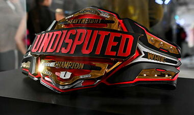 The British super heavyweight said why Usyk will not give up the title and go to Wardle