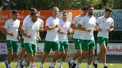 Карпаты не будут проводить спарринг в международную паузу