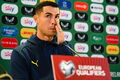 Ireland - Portugal. Forecast, announcement for the World Cup qualification match