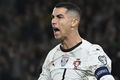 PHOTO. Ronaldo's reaction to a fan who mocked him after being sent off