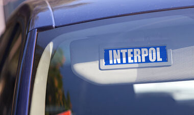 Интерпол вернул сотни миллионов долларов после глобальной операции