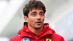 Charles Leclerc as an animal. But which one exactly? 9 best options