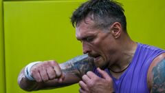 Usyk agreed on the next fight. The unexpected happened