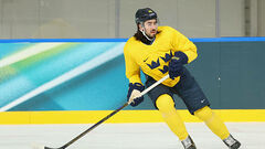 Зибанеджад – разве не достоин?