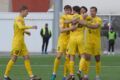 Виктория – Буковина – 1:3. Удаление тренера. Видео голов и обзор матча