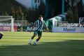 Карпати – Оболонь – 4:0. Безжалісні леви. Відео голів та огляд матчу