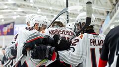 В погоне за Соколом. 5 шайб форварда, крупная победа Кременчуга