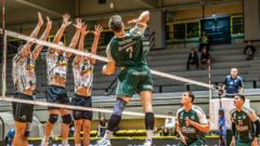 Українець допоміг Панатінаїкосу наростити перевагу у чемпіонаті Греції