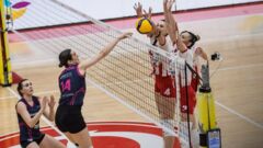 14 очков Миленко. Динамо Бухарест проиграло битву за лидерство в таблице