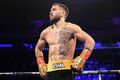 WBO выступила с заявлением о Ломаченко. Василий сам этого захотел
