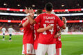 Бенфика – Эшторил. Прогноз и анонс на матч чемпионата Португалии