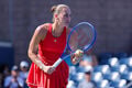 Без Свитолиной, но с Костюк. Определена половина пар 1/8 финала US Open