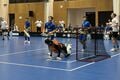 Флорбол. Боевое поражение. Украина U-19 начала квалификацию ЧМ-2027