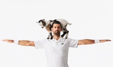 ВИДЕО. GOAT vs goats: Джокович снялся в рекламной кампании для Lacoste