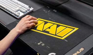 Асистент тренера NAVI з Dota 2: «Показали максимум у фіналі»