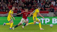 «Жду реакции от сине-желтых». Саленко – о матче Украина – Венгрия