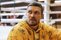 Усик отримав нового суперника після того, як Вайлдер змінив плани