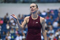 Свитолина проиграла Чжэн Циньвень в 1/4 финала турнира WTA 1000 в Пекине