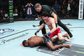 UFC. Главный поединок вечера! Мелотт жестоко нокаутировал Бакли