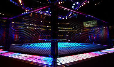 Букмекер став партнером історичного турніру UFC у Сербії