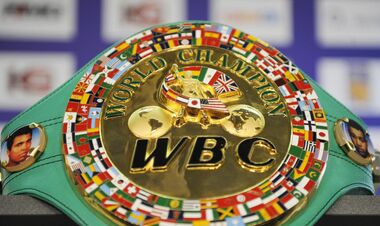 WBC вийшла із заявою після відмови Усика від титулу