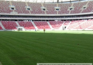 В Варшаве постелили газон для первого матча Евро-2012 +ФОТО
