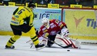 Беркут усиливает вратарскую линию
