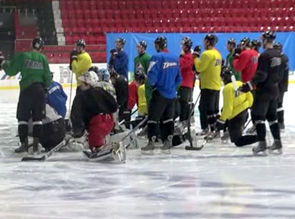 На первый сбор Донбасса-2 поедут 24 хоккеиста