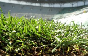 На стадионе во Вроцлаве уложен газон+ФОТО