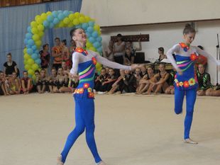 Днепродзержинск принимает ЧУ по художественной гимнастике