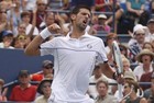 US Open. Долгополов уступает Новаку Джоковичу