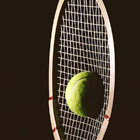 Вчера стартовал самый престижный теннисный турнир мира – Wimbledon. Главные фавориты