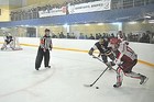 Белый Барс - Львы - 3:8 + ВИДЕО