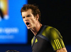 Australian Open. Маррей и Джокович сразятся в финале