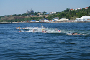 Снитко и Скрипель - чемпионы Кубка Украины на открытой воде