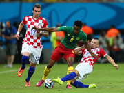 Хорваты приручили драчливых «неукротимых львов»