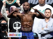 Флойд МЕЙВЕЗЕР: «Мисс Пак Мэн отчаянно хочет заработать»