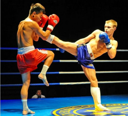 В Киеве пройдет турнир по кикбоксингу Плечом к плечу