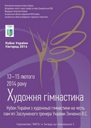 Кубок Украины - 2014. Протоколы