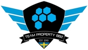 Property теряют команду CS:GO