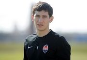 Степаненко может не сыграть с Александрией
