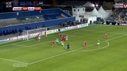 Северная Ирландия — Венгрия 1:1. Видеоообзор матча