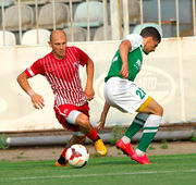 Заря – Александрия. Анонс