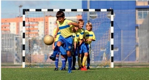 Ярославский пожертвовал $350 тыс на развитие детского спорта