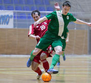 В футзальній Екстра-лізі сезону 2016/2017 зіграє 10 команд