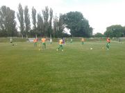 Авангард минимально одолел Металлург Запорожье