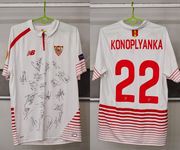 Коноплянка поможет больному мальчику