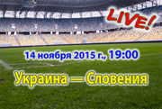 Украина — Словения. Видеотрансляция