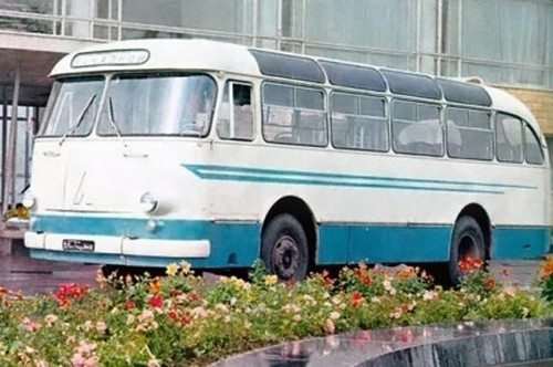 Клубный автобус Динамо: на ЛАЗе – к золоту Союза