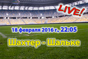 Шахтер - Шальке. Видеотрансляция